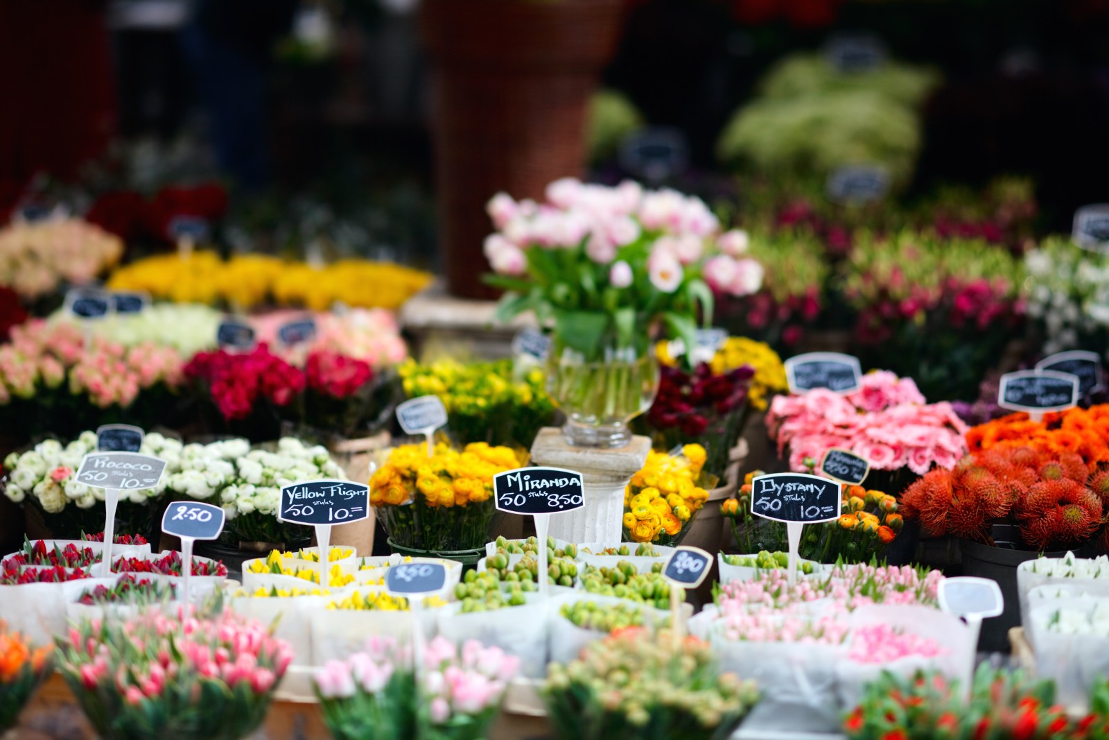 Bloemenmarkt, el mercado de las flores - Entradas, horarios e