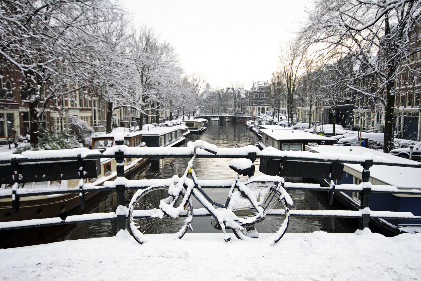 Quand aller à Amsterdam