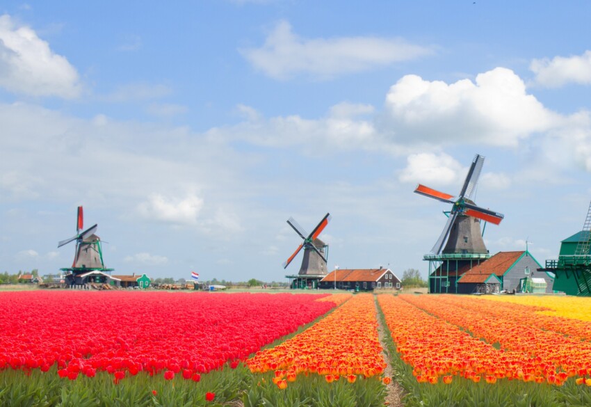 Moulins à vent autour d’Amsterdam